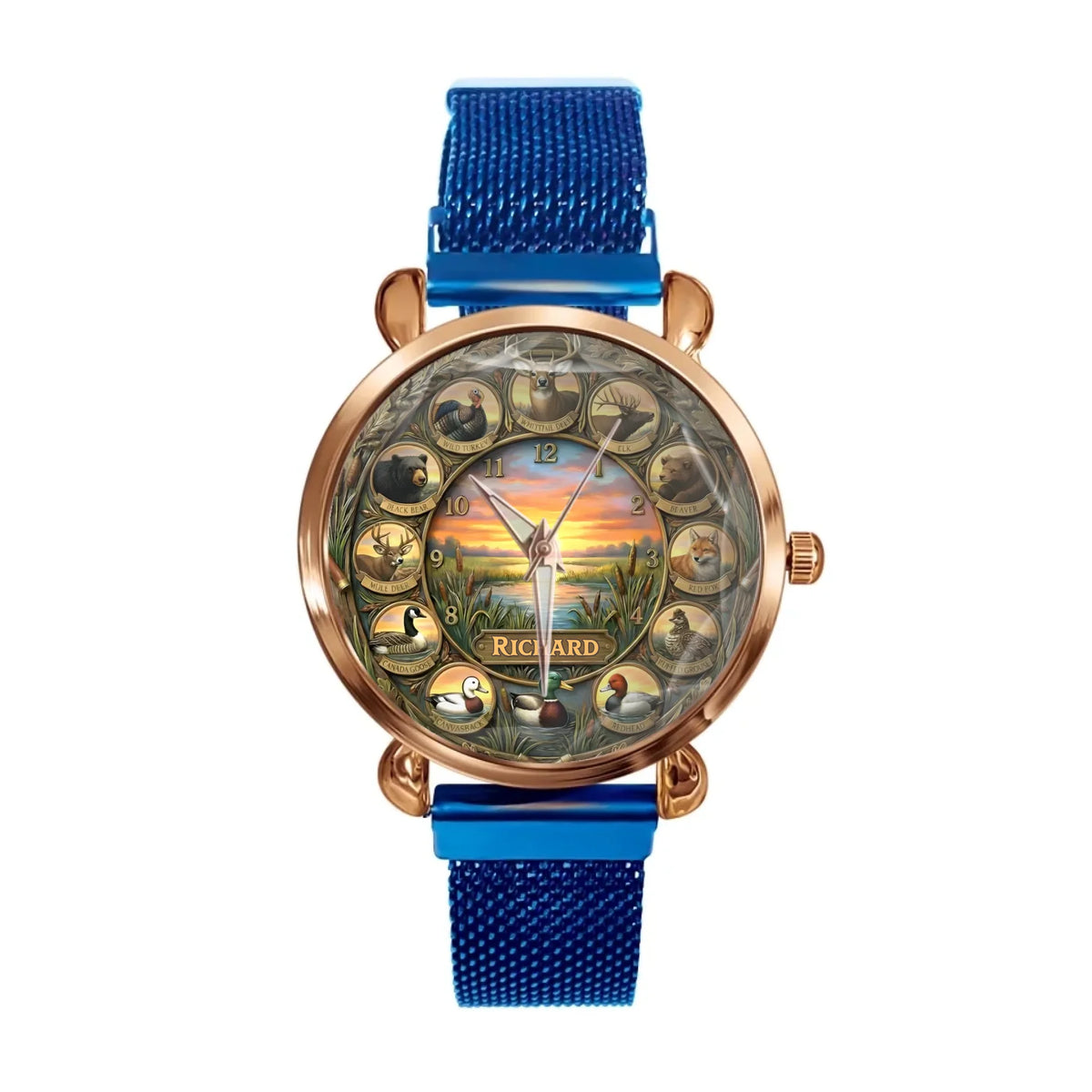 d85dd91b-d379-4a33-afcf-f2a36335daf4