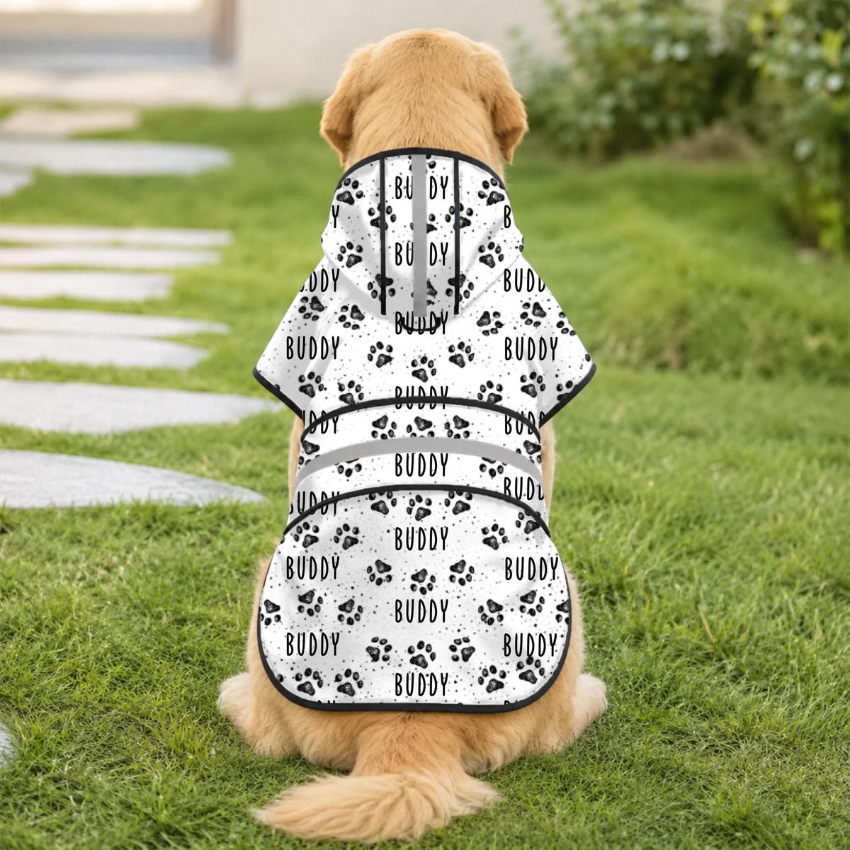 01. 1